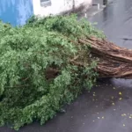 Frente fria provoca chuvas intensas e transtornos em Salvador e RMS
