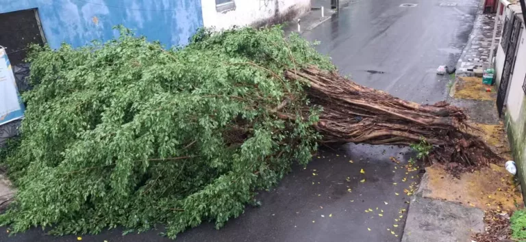 Frente fria provoca chuvas intensas e transtornos em Salvador e RMS