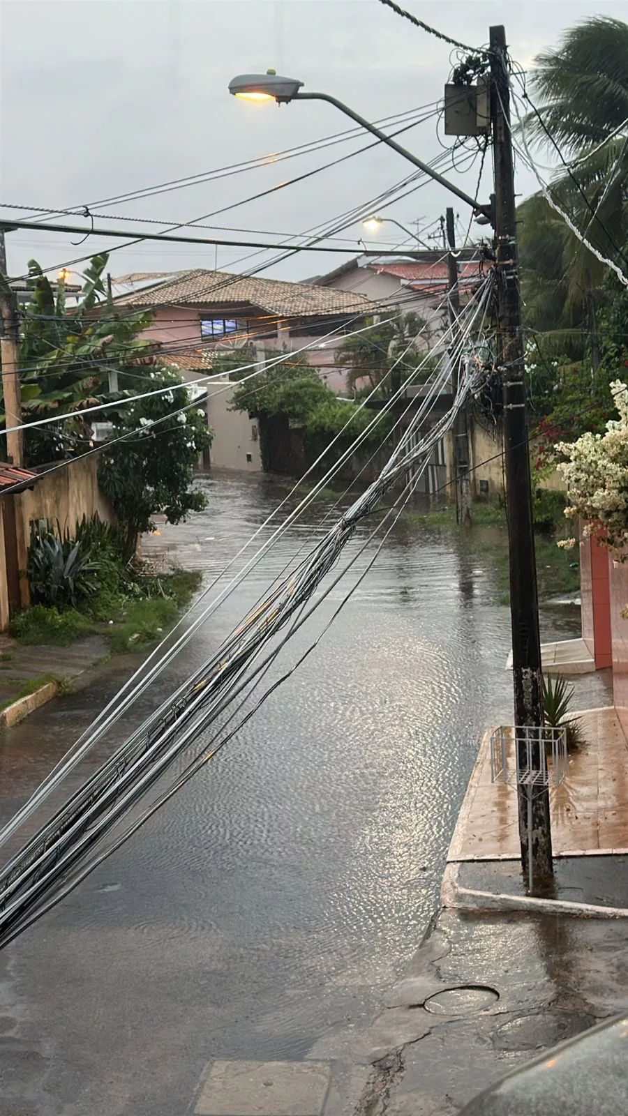 Foto: Leitor/PS Notícias