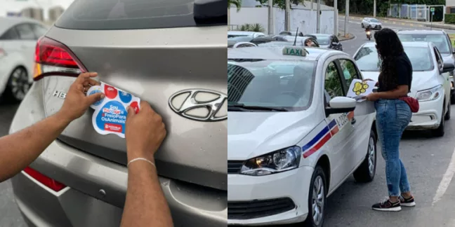 Divulgação