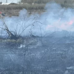 incêndios