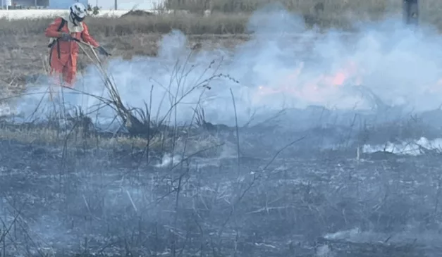 incêndios