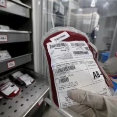 sangue