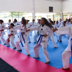 jiu jitsu