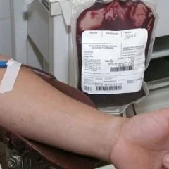 sangue