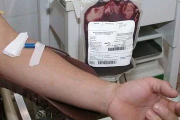 sangue