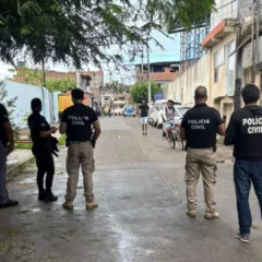 Divulgação