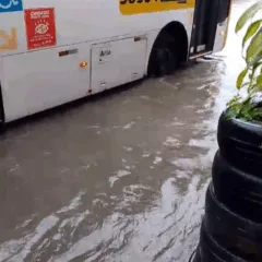 Foto: Reprodução / Redes Sociais 