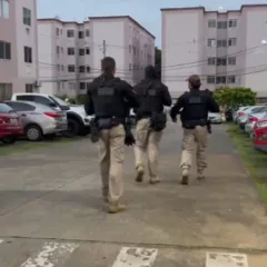 Divulgação/Polícia Civil