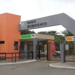Foto: Vagner Souza/PSNotícias