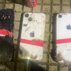 celulares