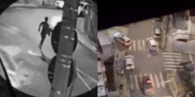 Reprodução