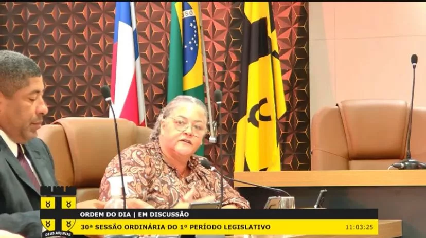Líder do governo Maria Cedraz 
