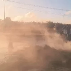Vídeo / Reprodução