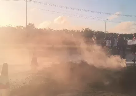 Vídeo / Reprodução