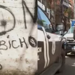 Reprodução/Alô Juca