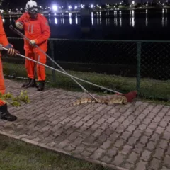Foto: Divulgação/CBMBA