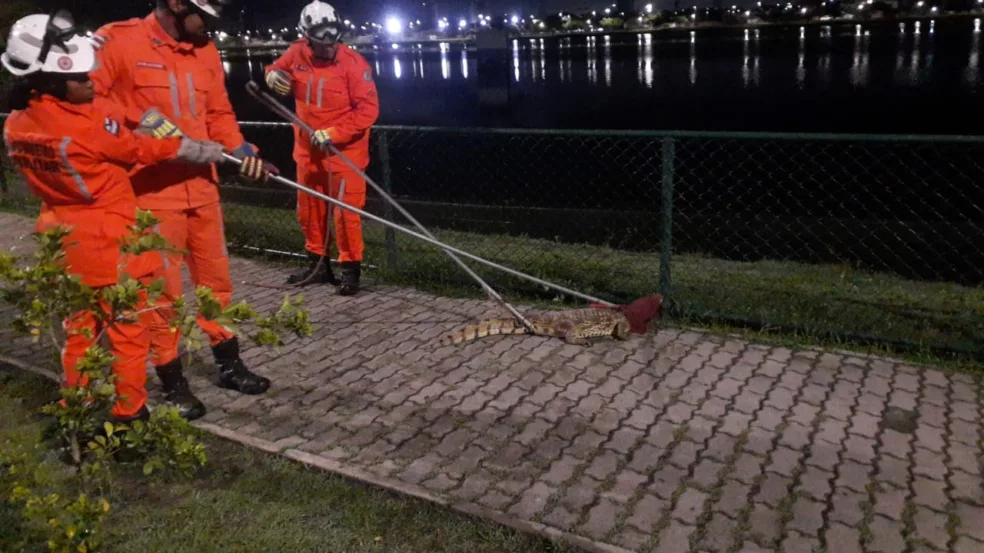 Foto: Divulgação/CBMBA