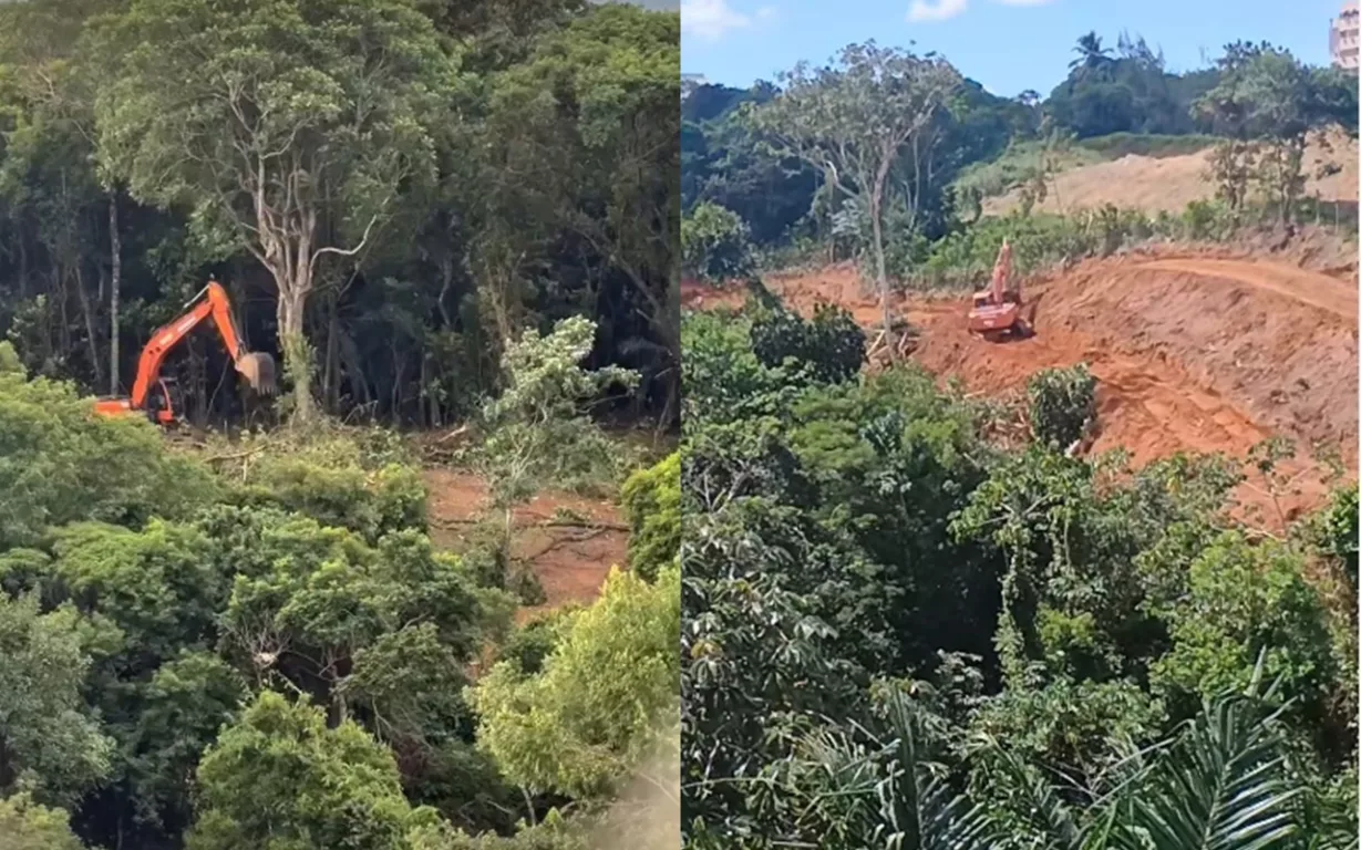 Imagens: Reprodução/Instagram/@sos.mata.atlanticasaorafael Imagens: Reprodução/Instagram/@sos.mata.atlanticasaorafael