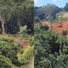 Imagens: Reprodução/Instagram/@sos.mata.atlanticasaorafael