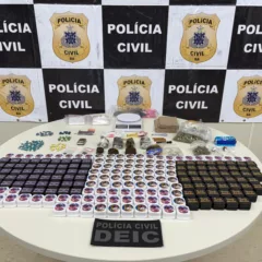 Foto: Divulgação/Polícia Civil