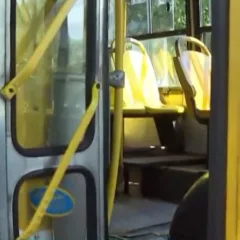 onibus