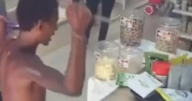 Reprodução