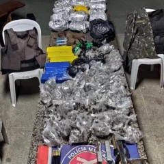 maconha