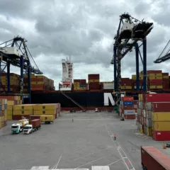 Exportações