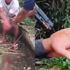 Foto: Reprodução/Vídeo