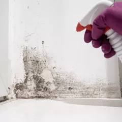 Foto: Shutterstock