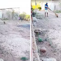 Redes Sociais / Reprodução