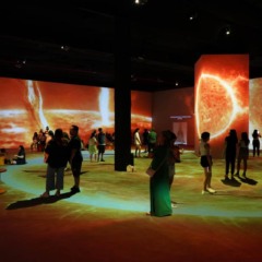 exposição