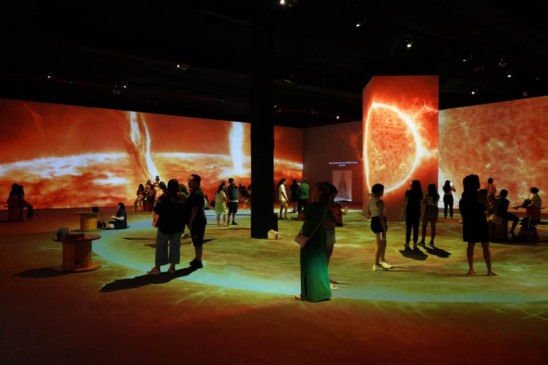 exposição
