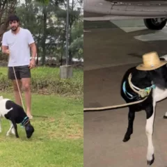 Foto: Reprodução/Redes Sociais