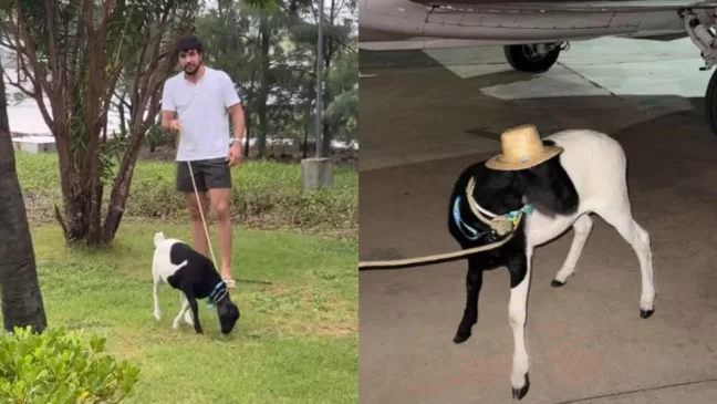 Foto: Reprodução/Redes Sociais