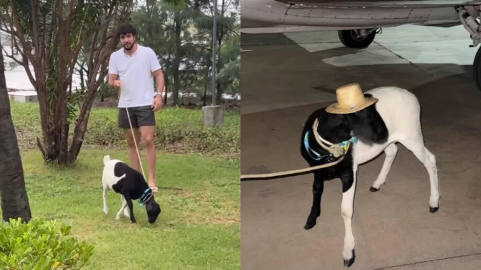 Foto: Reprodução/Redes Sociais
