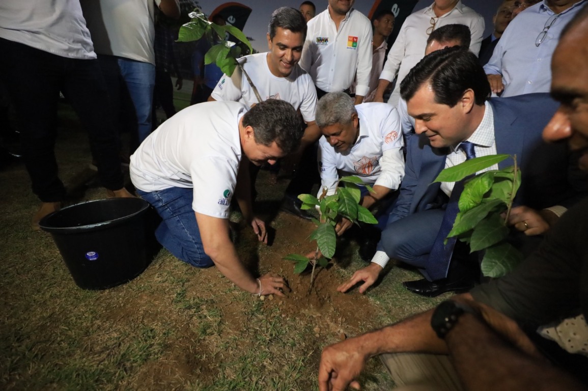 Foto: Amanda Ercília/GOVBA