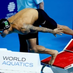 Guilherme Caribé nos 100m livre do Mundial | Foto: Satiro Sodré/CBDA