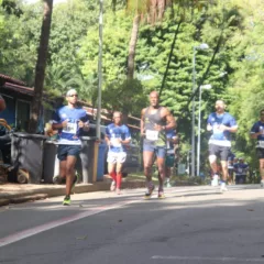 Foto: Divulgação/GCM