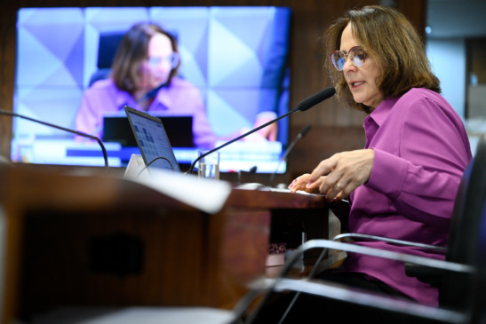 Senadora Damares Alves. Foto: Andressa Anholete/Agência Senado