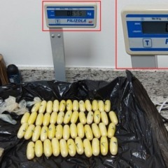Foto: Divulgação/PF