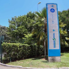 Foto: Bruno Concha/ Secom PMS