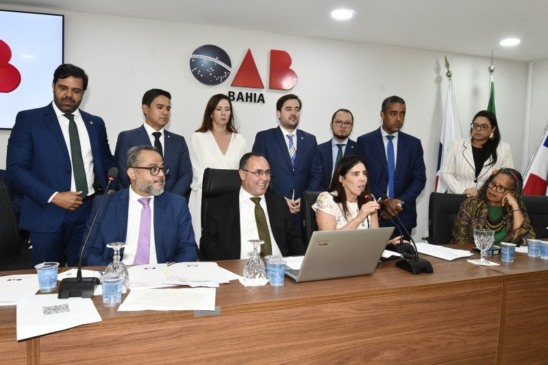 Conselheiros escolheram nomes que vão concorrer à vaga de desembargador. Foto: Angelino de Jesus/OAB-BA/Divulgação