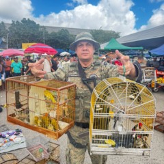 Caso aconteceu na cidade de Camaçari. Foto: Divulgação/COPPA