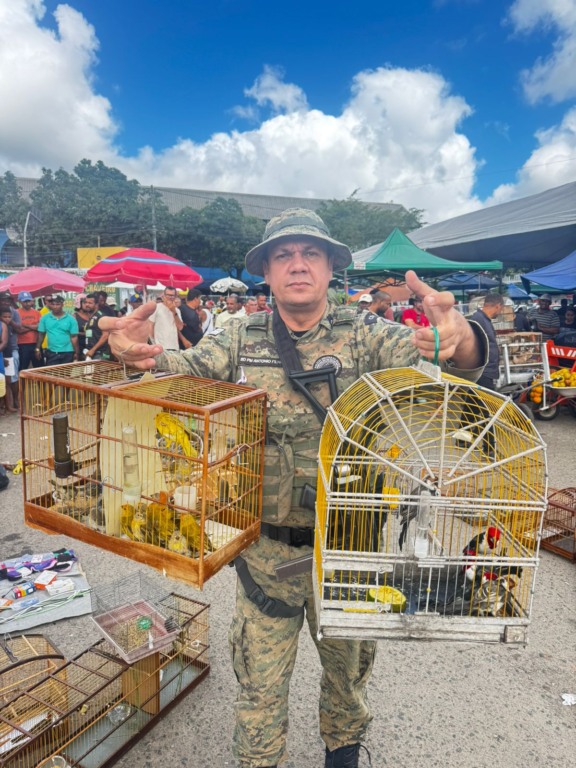 Caso aconteceu na cidade de Camaçari. Foto: Divulgação/COPPA
