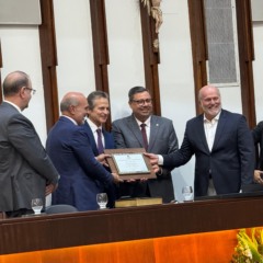 Honraria foi entregue durante sessão especial realizada nesta quinta-feira (14). Foto: Divulgação