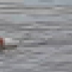 Reprodução / Redes Sociais
