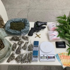 Foto: Divulgação / Cipe Caatinga