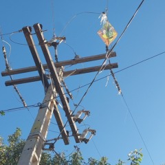 Foto: Divulgação / Neoenergia Coelba